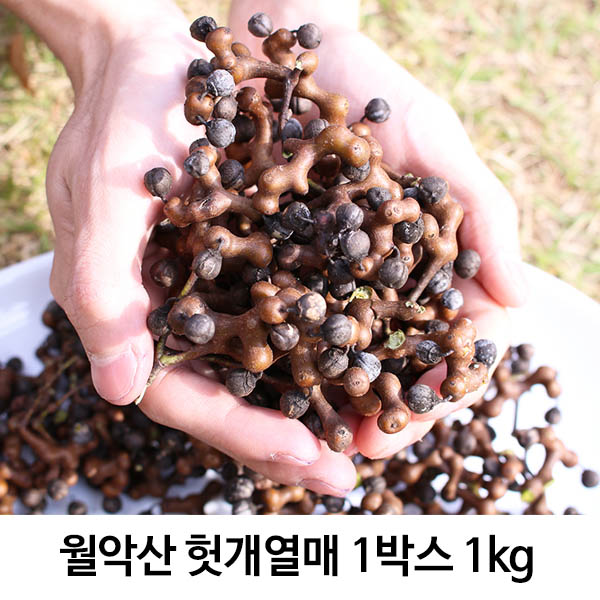 월악산 헛개열매 1박스 1kg