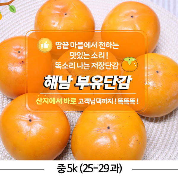 해남 부유 단감 중 5k (25-29 과)
