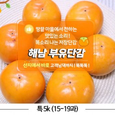 해남 부유 단감 특 5k (15-19과)
