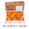 [면세]제주 한라봉 대 (7~12과) 3kg
