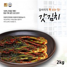 전라도사계절맛김치 갓김치 2kg