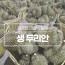진정한 과일의 황제 생두리안 2.8kg 2수