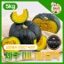 국민쿡 제주 미니 밤호박 로얄과 5kg (산지직송)
