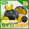 국민쿡 제주 미니 밤호박 로얄과 10kg (산지직송)