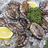 [미각기행] 완도 전복 9-10미 1kg