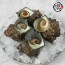 [미각기행] 오동통 통영 뿔소라 1kg(5~9미)