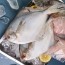 바다의 귀족이라 불리는 국내산병어 3kg (12-33미)