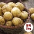 수미감자 왕특 5kg (180~280g 내외)