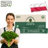 [Make You Health] 그린 유기농 컬리케일 100 곱슬케일 1박스 28g(2gX14포)