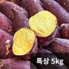 [청년농가] 세척 베니하루카 꿀밤고구마 특상(100g~300g) 5kg