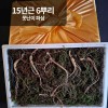 [천생삼농장] 산양산삼 15년근 못난이 파삼 6뿌리