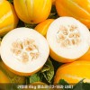 [청년농가] 성주 하우스 꿀참외 가정용 성주참외 4kg 중소과(12-18과 내외)