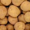 국내산 100% 고소한 26년 수미 햇감자 중 5kg (40g~50g)