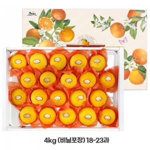 ★26년추석명절 선물용★ 제주 서귀포 황금향 4KG (비닐포장)/18-23과