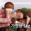 솔방 365 신선 논산 가정용 참송이버섯 1kg