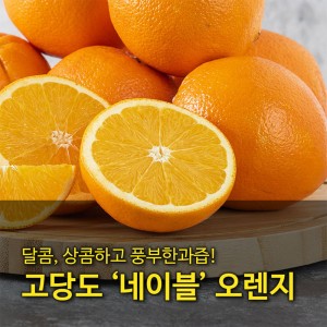 [수입과일] 호주산 고당도 네이블 오렌지 88과 17kg (중과)