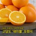 [수입과일] 호주산 고당도 네이블 오렌지 88과 17kg (중과)