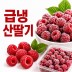 국내산 급냉 산딸기 5kg