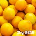26년 제주직송 노란빛 제주 못난이 황금향 2kg 혼합과