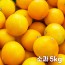 26년 제주직송 노란빛 제주 하우스 황금향 소과 5kg