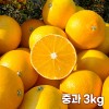 26년 제주직송 노란빛 제주 하우스 황금향 중과 3kg