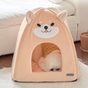 [개과천선] 로아니 강아지 하우스 고양이