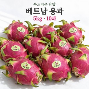[수입과일] 부드러운 단맛 베트남 용과 5kg 10과