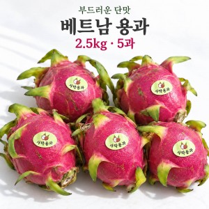 [수입과일] 부드러운 단맛 베트남 용과 2.5kg 5과