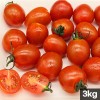 대추방울토마토 3kg(1~2번과)