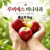 경북 루비에스 미니사과 중소과 1kg (40g-50g 내외)