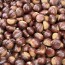 [건양농가] 햇 유기농 밤 1kg(대) 1봉