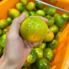 제주 특품 고당도 극조생 감귤 9kg 로얄과(2s-m)