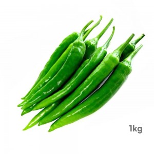 [경매선별농산물] 아삭이고추 1KG