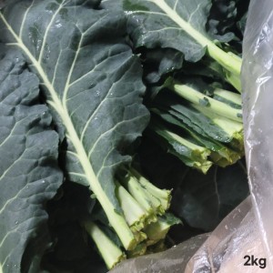 [경매선별농산물] 케일 2KG