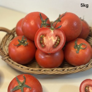 [경매선별농산물] 토마토 5KG(완숙,3번)