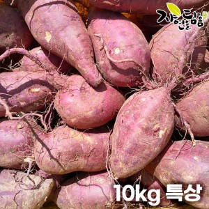 [해남별] 해남 꿀고구마 10kg 특상