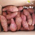 [해남별] 해남 호박고구마 10kg 특상