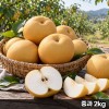 신고배 정품(중과) 2kg(3~6과)
