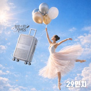 에스로체 [시그니처] 디에어 29인치