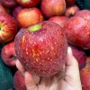 26년 햇 고당도 달콤아삭 붉은감홍 경북 감홍사과 소과 2kg 15과 내외