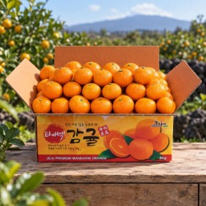 제주직송 스테비아농법 타이벡감귤 3kg 프리미엄과