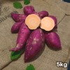 최상급 선별 세척고구마 고구메스 시즌5 로얄사이즈 5kg (20~35개)